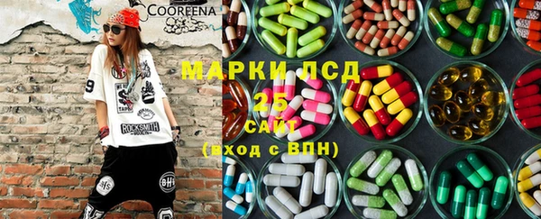 шишки Каменногорск