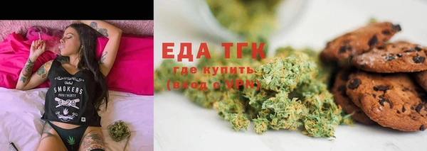 шишки Каменногорск