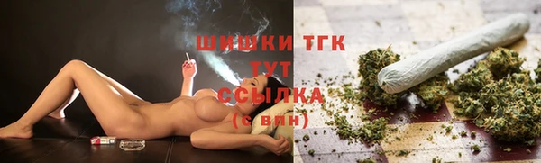2c-b Инсар