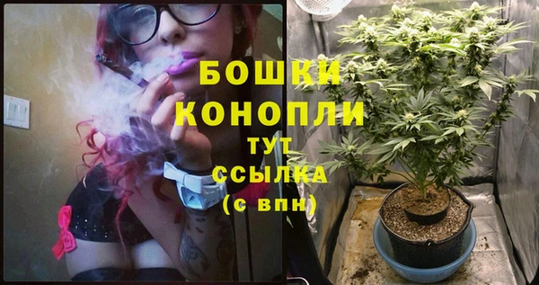 первитин Каменка