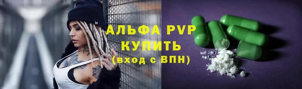 шишки Каменногорск