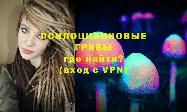 молекула духа Карпинск
