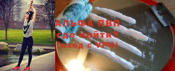 шишки Каменногорск