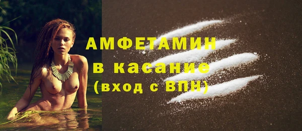 прущие грибы Инта