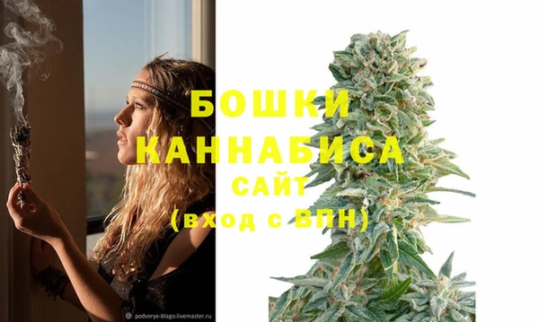 молекула духа Карпинск