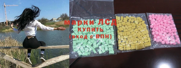 шишки Каменногорск