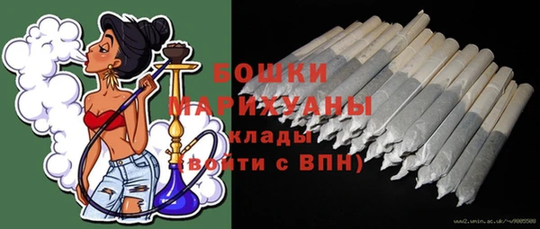 молекула духа Карпинск