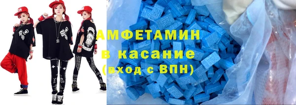 шишки Каменногорск
