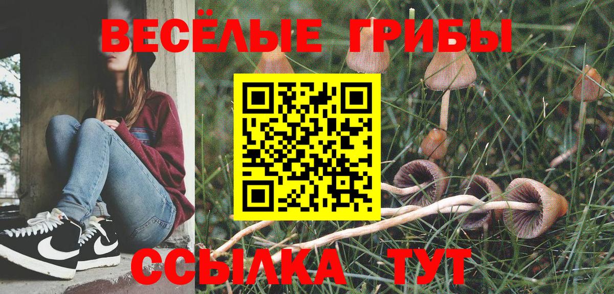 Псилоцибиновые грибы прущие грибы Красноармейск