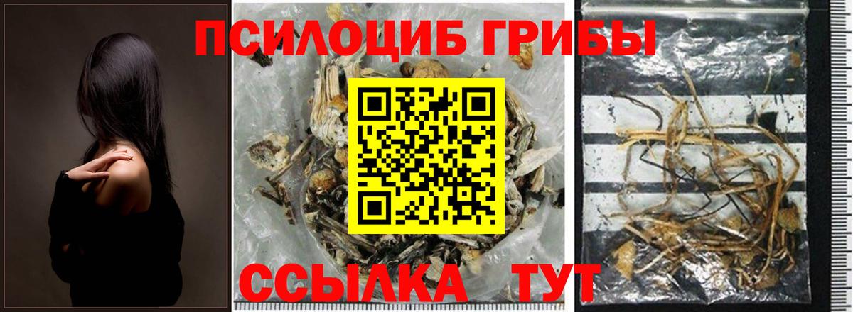 Галлюциногенные грибы GOLDEN TEACHER  Вход с VPN  Красноармейск 